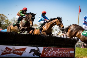 Aiken Steeplechase 5104
